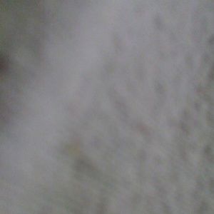 Meet your Posher, Ledenvist